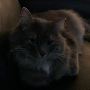 Meet your Posher, Robert